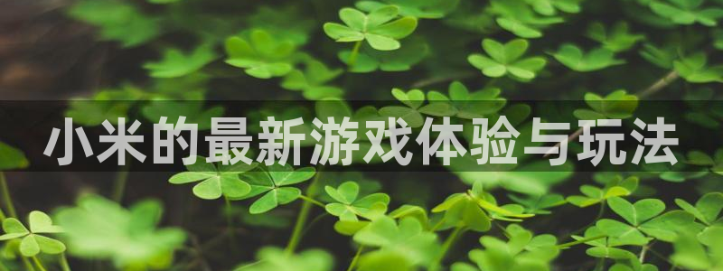鼎点娱乐网页版地址：小米的最新游戏体验与玩法