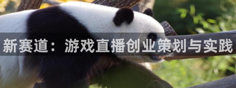 鼎点娱乐注册官方登录app：新赛道：游戏直播创业策划与实践
