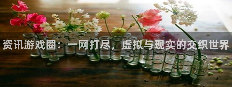 鼎点娱乐官网：资讯游戏圈：一网打尽，虚拟与现实的交织世界