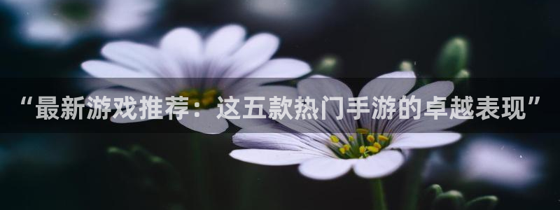 鼎点娱乐平台负责人：“最新游戏推荐：这五款热门手游的卓越表现