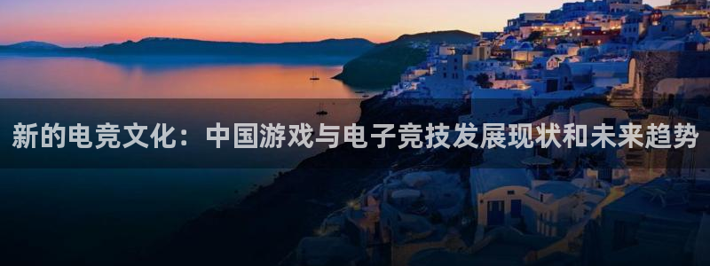 鼎点娱乐娱乐是真的吗：新的电竞文化：中国游戏与电子竞技发展现
