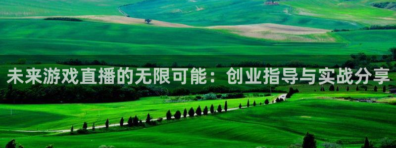 鼎点娱乐注册开户：未来游戏直播的无限可能：创业指导与实战分享