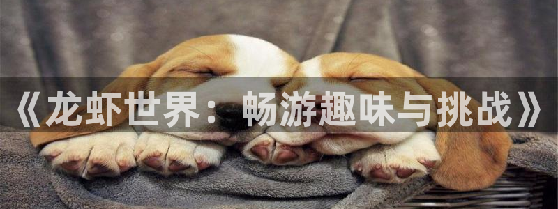 沐春鼎点娱乐：《龙虾世界：畅游趣味与挑战》