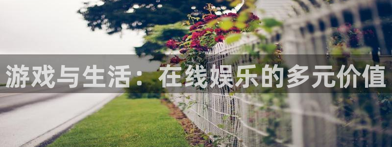 鼎点娱乐的意思：游戏与生活：在线娱乐的多元价值