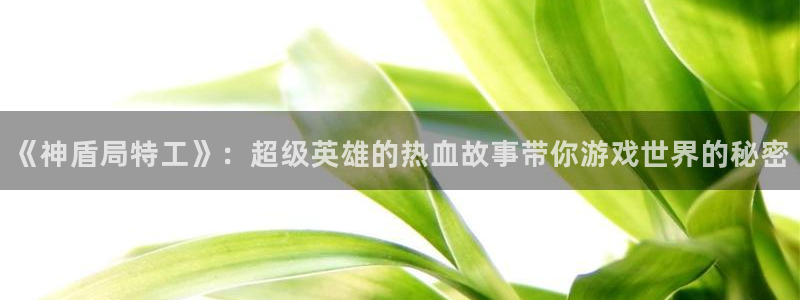 鼎点娱乐平台注册：《神盾局特工》：超级英雄的热血故事带你游戏