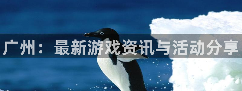鼎点娱乐官方登录网址：广州：最新游戏资讯与活动分享