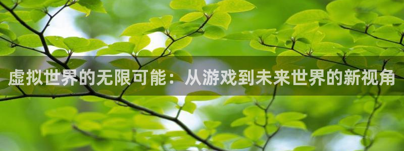 鼎点娱乐平台注册开户：虚拟世界的无限可能：从游戏到未来世界的
