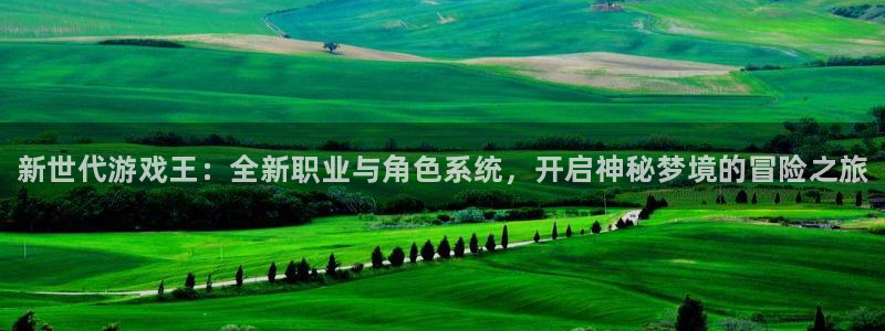 鼎点娱乐平台负责人：新世代游戏王：全新职业与角色系统，开启神